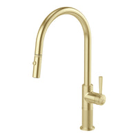 Wiltern Pull Out Sink Mixer