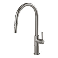 Wiltern Pull Out Sink Mixer