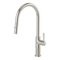 Wiltern Pull Out Sink Mixer