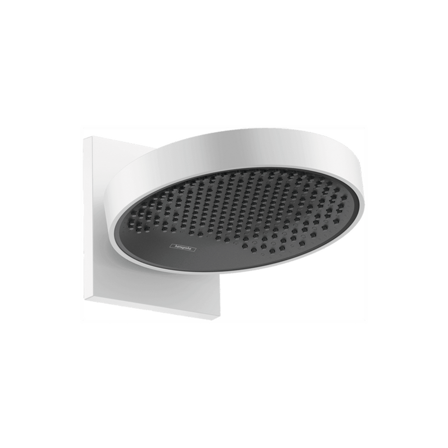 Rainfinity Overhead shower 250 1jet/3jet with wall connector