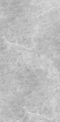 Silver / Matt / 600x1200