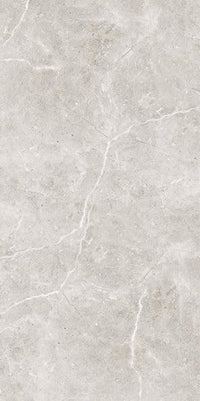 Taupe / Polished / 600x1200