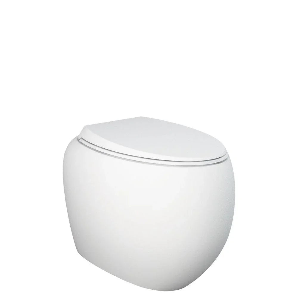 RAK Cloud Wall-Faced Toilet Suite