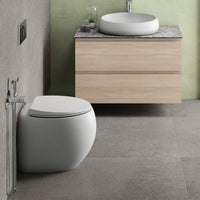 RAK Cloud Wall-Faced Toilet Suite