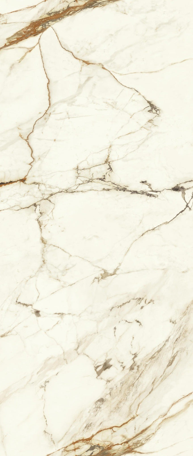 Marvel Shine Calacatta Imperiale