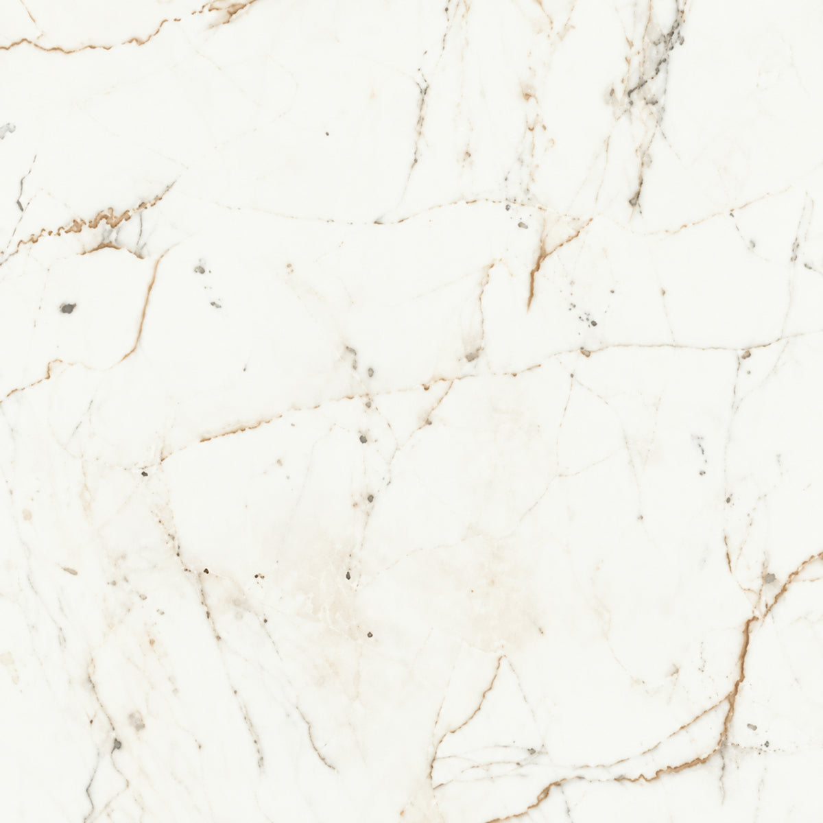 Marvel Shine Marble Look TIle - Calacatta Prestigio - 750 x 1500 - Lappato