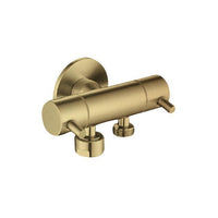 Dual Control Mini Cistern Cock