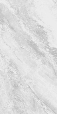 SILVER ASH MATT / 300X600