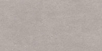 Grey Matt 300 x 600 mm