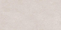 Light Grey Matt 300 x 600 mm