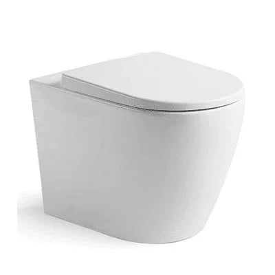 Vista Hygienicflush Wall Faced Toliet