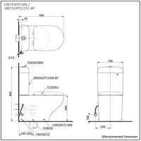 Hayon Back to Wall Toilet with S2 washlet