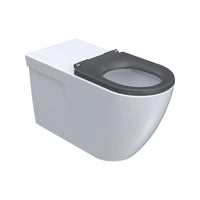 Ellisse Accessible Wall Faced Pan Rimless (Including Seat)