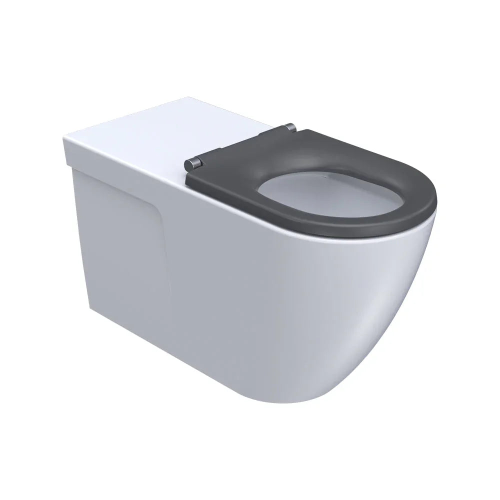 Ellisse Accessible Wall Faced Pan Rimless (Including Seat)
