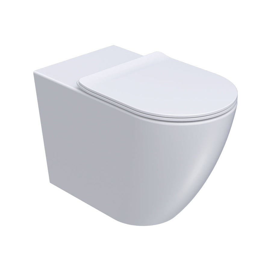 Ellisse II Ambulant Wall Faced Pan Rimless with Soft Close Seat