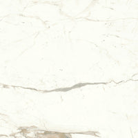 Marvel Shine Marble Look TIle - Calacatta Prestigio