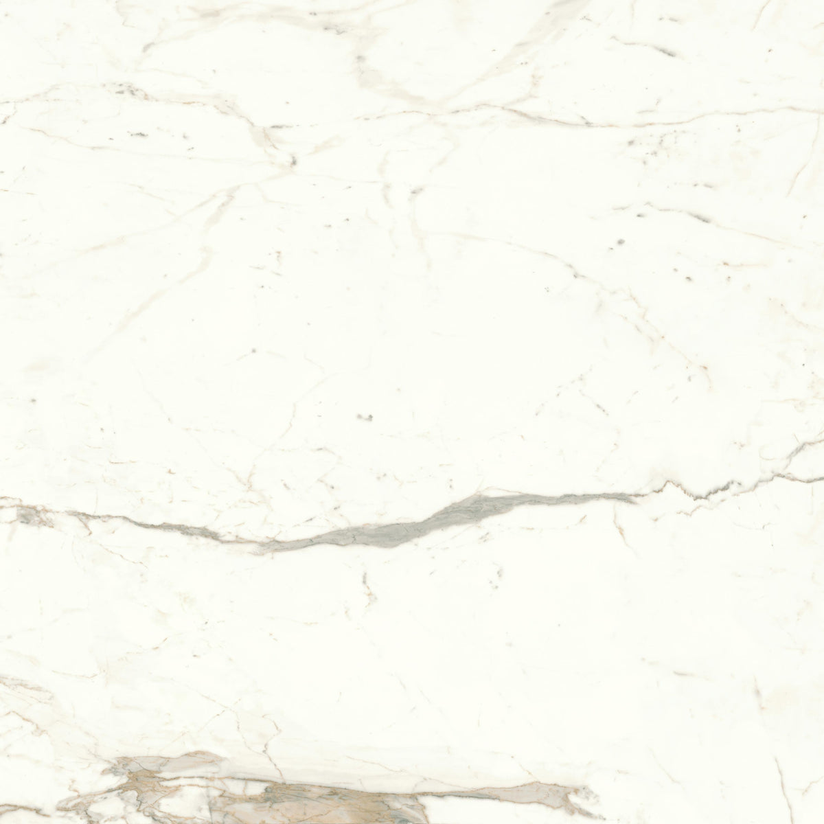 Marvel Shine Marble Look TIle - Calacatta Prestigio