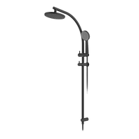 Curve Rail and Hand Shower Ensemble