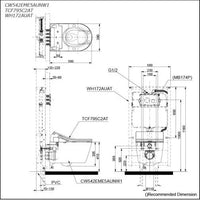 Wall Hung Toilet with Washlet RX (Manual Flush)