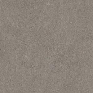 Barranca Surface Concrete Look - Pewter