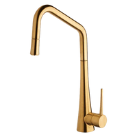TINK-D Pull-out Sink Mixer