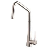 TINK-D Pull-out Sink Mixer
