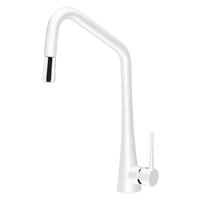 TINK-D Pull-out Sink Mixer