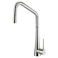 TINK-D Pull-out Sink Mixer