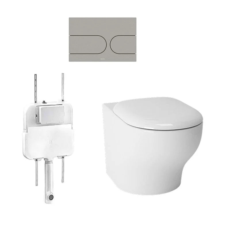 Hayon WALL FACED TOILET and In-wall Cistern Flush Panel