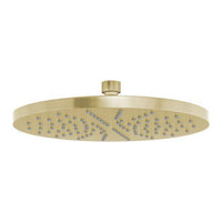 Vivid Shower Rose 230mm Round