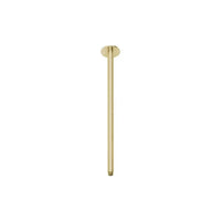 Vivid Ceiling Arm