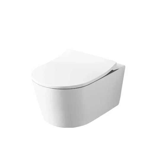 Contemporary I Wall Hung Toilet D-Shape