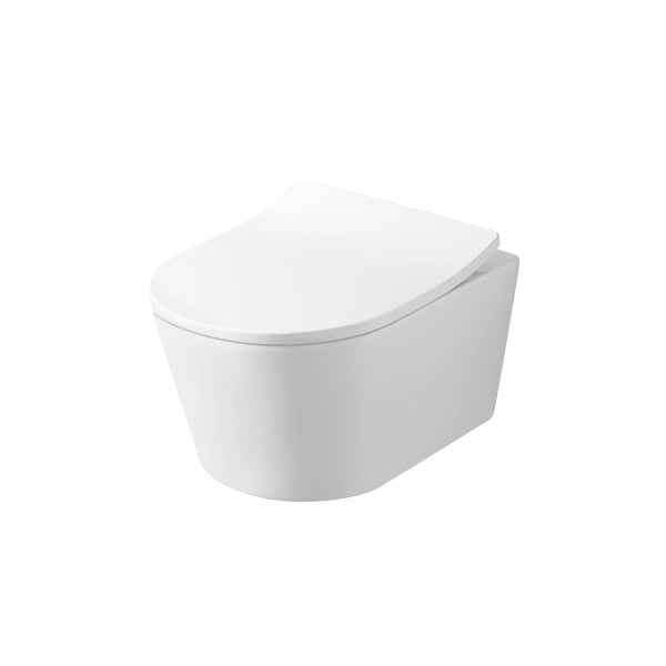 Wall Hung Toilet D-Shape