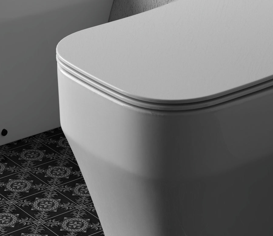 Synthesis Eco Rimless Wall Faced Toilet