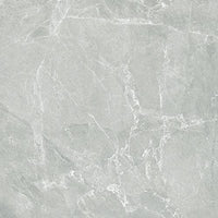 Tortora / 600 x 600